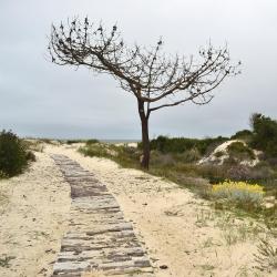 Canelones 129 cheap hotels