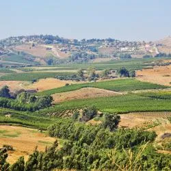 Golan Heights