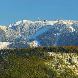 Poiana Brasov 25軒のゲストハウス