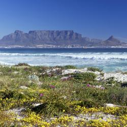Table Bay 47 B&Bs