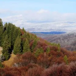 ハルギダ県 221軒のゲストハウス