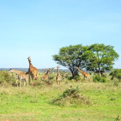 Nairobi National Park 7 glamping sites