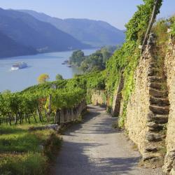 Wachau 302 hotels with parking