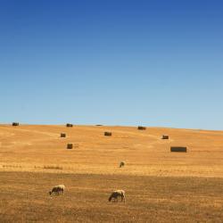 Central West NSW