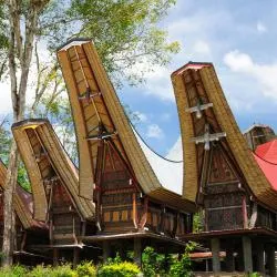 Sulawesi 5軒のグランピング施設