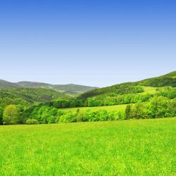 Sumava mountains 50 cabins