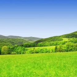 Sumava mountains 302軒のコテージ