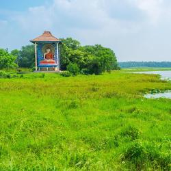 Puttalam District 11 Glamping Sites