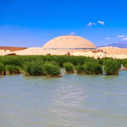 Ningxia