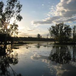 Kakadu