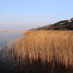 Ringkøbing Fjord