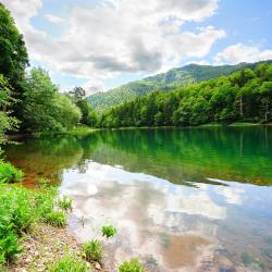 Biogradska Gora Nationaal Park
