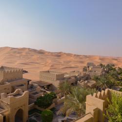 Liwa Oasis Vile (3)