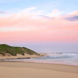 Sunshine Coast