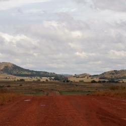 Parys