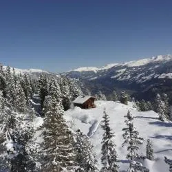 Lachtal 
