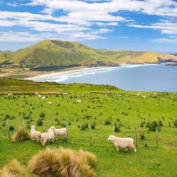 Otago Peninsula