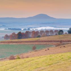 Underberg