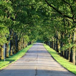 Gulbene Municipality 21 cheap hotels