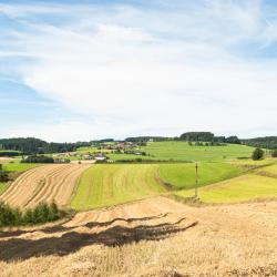 Gaustablikk