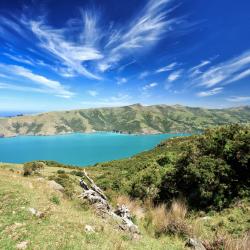 Banks Peninsula