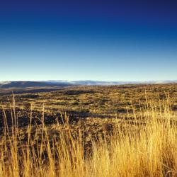 Beaufort West