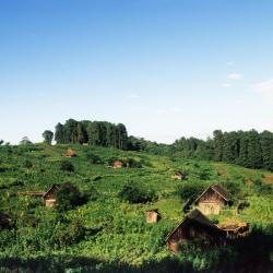 Nyeri 3 chalet