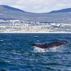 Overberg