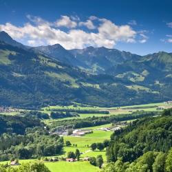 Canton of Fribourg
