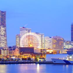 Kanagawa 110 beach rentals