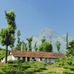 Wayanad 130軒のリゾート