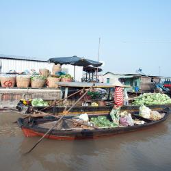 Mekongin suistoalue