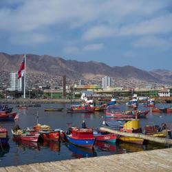 Antofagasta Region 5 glamping sites