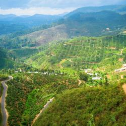 Badulla District 135 cottage