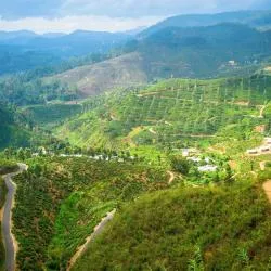 Badulla District 175軒のコテージ