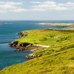 Galway County