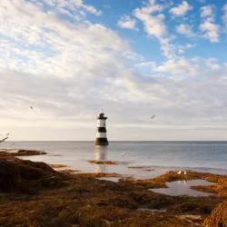 Anglesey 15軒のバンガロー