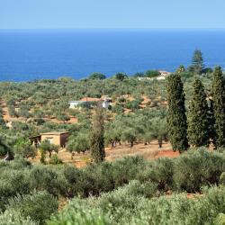 Messinia