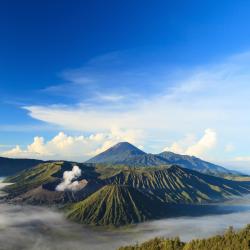 East Java 66 hostels