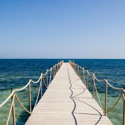 Djerba 3 riady