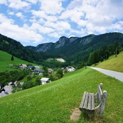 Soriska Planina