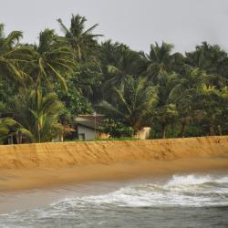Kalutara District 88 guest houses