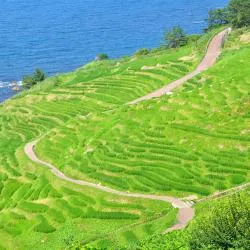 石川県 3軒のシャレー