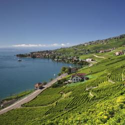 Vaud kanton