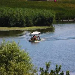 Lake Tisza