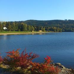Lake Lipno 13 cabins