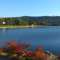 Lake Lipno 169軒のコテージ