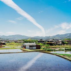 Oita 24 accessible hotels