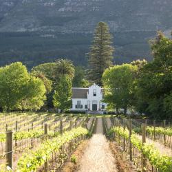 Distrikt Cape Winelands