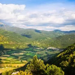 Aragon